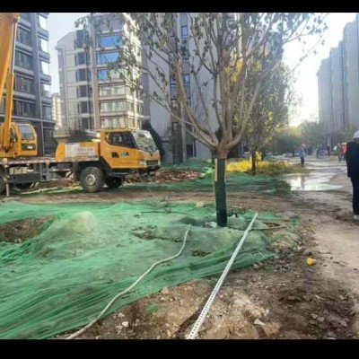 北京通州區(qū)張家灣吊車出租，叉車出租服務(wù)全城